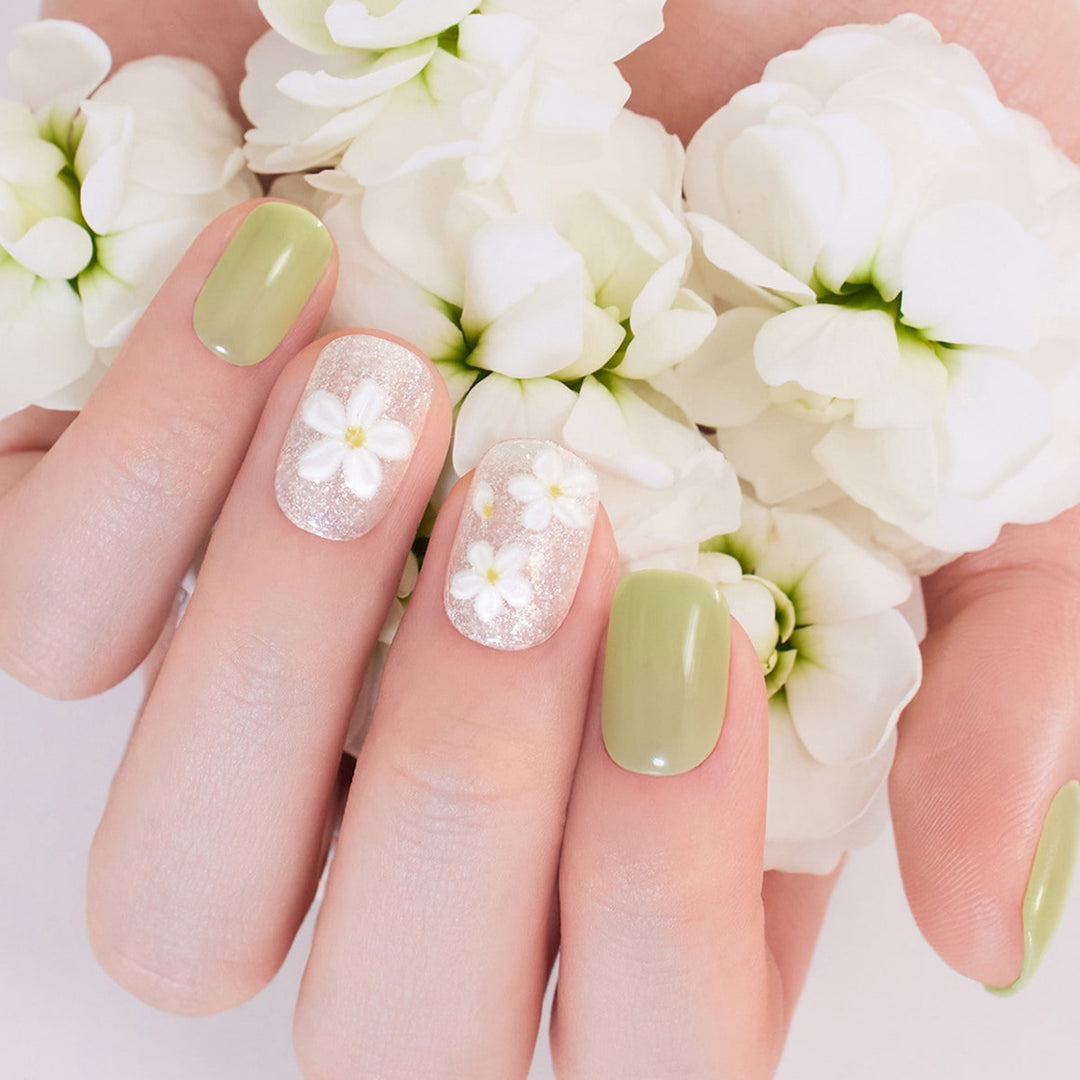 Magic Press (Mani) - Flowering (Regular Round)