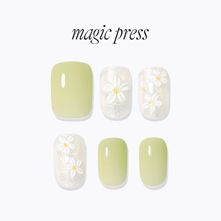 Magic Press (Mani) - Flowering (Regular Round)