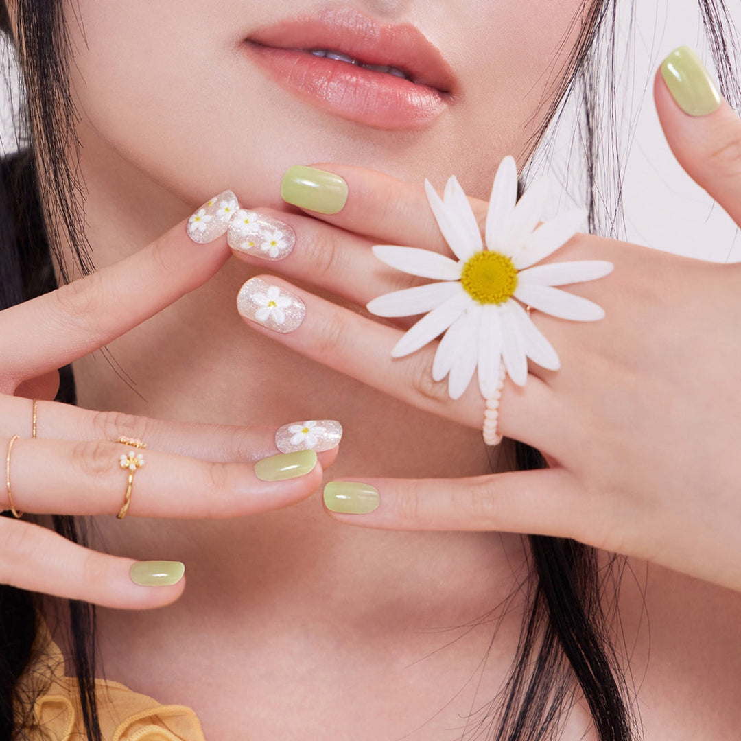 Magic Press (Mani) - Flowering (Regular Round)