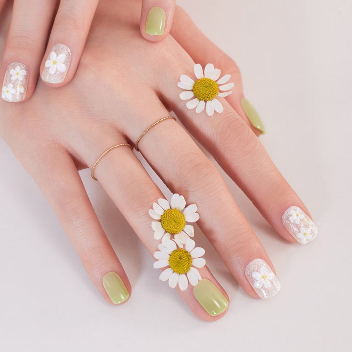 Magic Press (Mani) - Flowering (Regular Round)