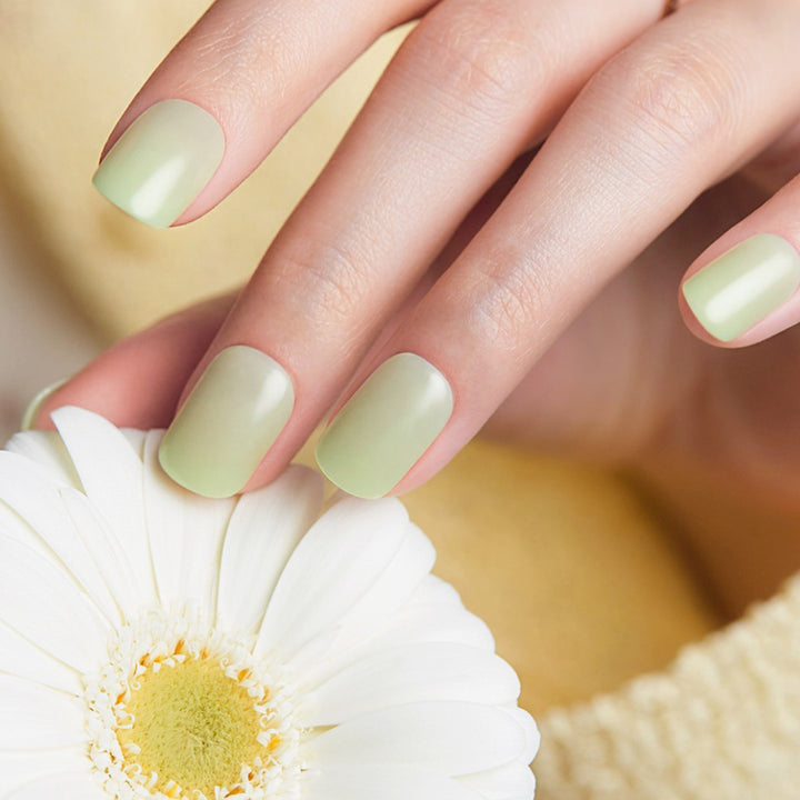 New Magic Press Nails (Mani)  - Joy Green (Regular)